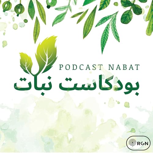 نبات | Nabat cover art