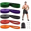 Resistance Bands, Pull Up Bands, Exercise Workout Bands for Working Out, Pull Up Assistance Bands Set for Men & Women, Body Stretching, Physical Therapy, Muscle Training
