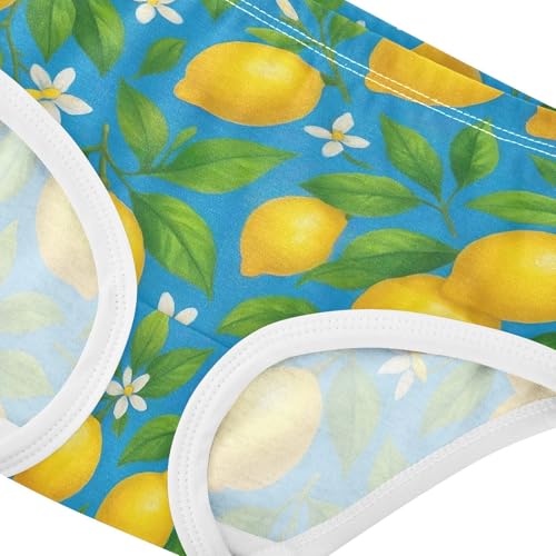 Joisal Yellow Lemons Green Leaves Blue Toddler Girls Underwear 2t Cotton Girl Panties Cute Personalized Briefs Girls Undies4