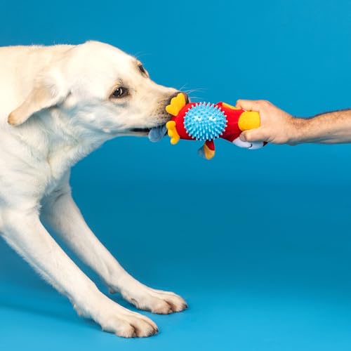 Juguete mordible y sonoro para perros TPR Spiky Ball x2 miniatura 4