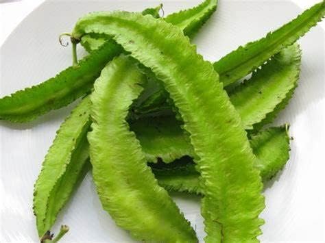 Miniatura 4 de Más de 20 semillas de frijol aladas Dragon Goa Espárragos Sigarilyas Chathura Payar No GMO Heirloom