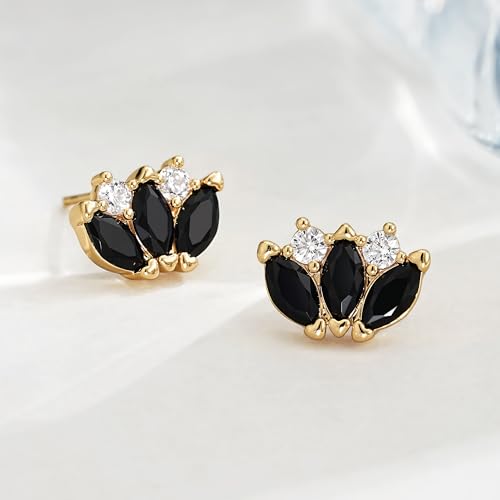 FETTERO Stud Earrings for Women - 14K Gold Plated CZ Hypoallergenic Earrings Studs Dainty Black CZ Leaf Gold Earrings for Women Trendy Statement Jewelry