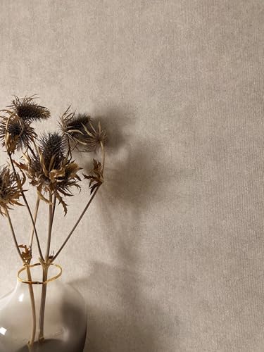 Newroom Papier Peint Intissé Taupe Clair Aspect Textile Vinyle - Moderne Uni Minimaliste Salon Chambre Cuisine