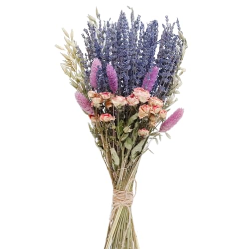 Flores Secas Naturales Lavanda Ramo Bebé 45 cm miniatura 1