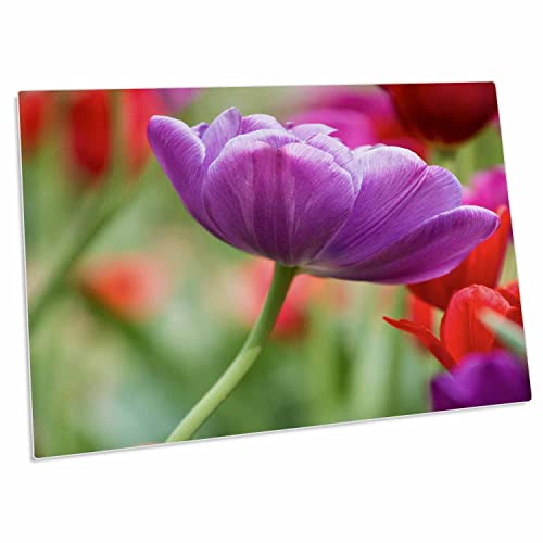 Alfombrilla grande escritorio con flores moradas y rojas miniatura 1