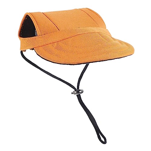 PartyKindom ybg 싅X Lbv  悯 Xq AEghA ybg Xq 