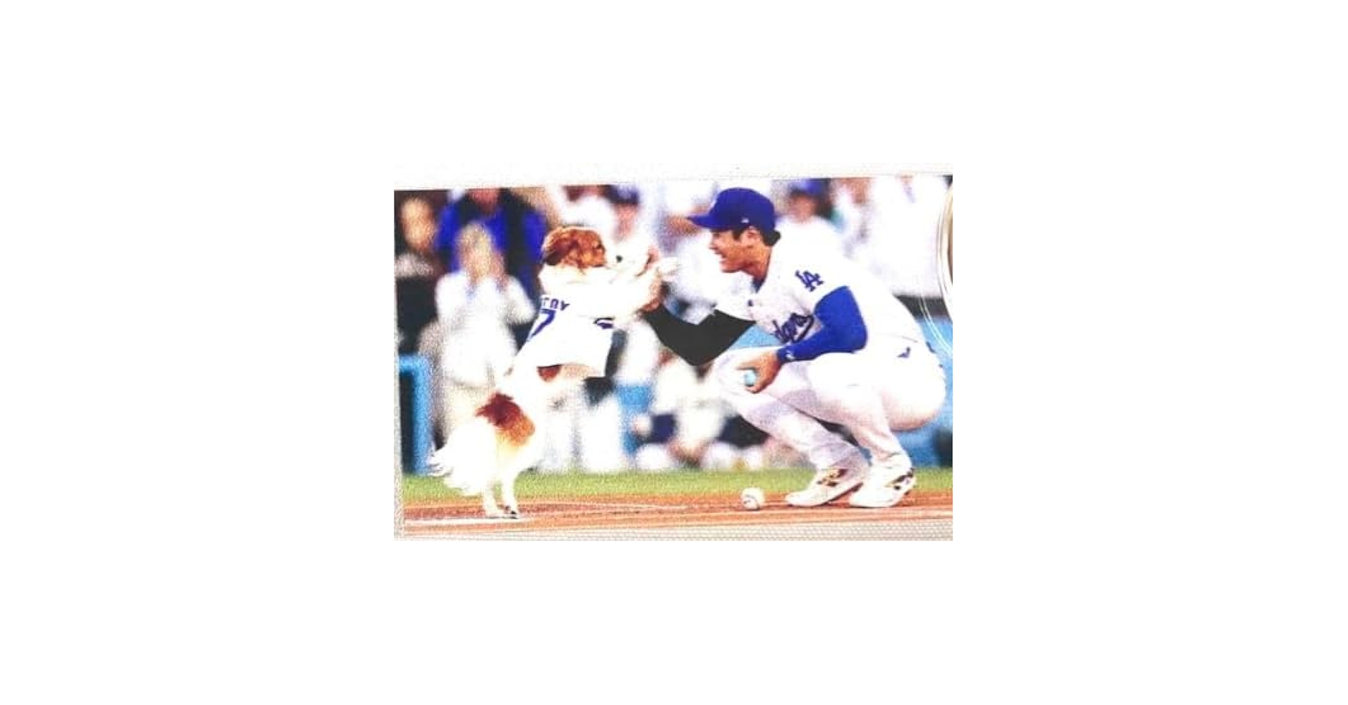 Amazon.co.jp: [MLB] 大谷翔平 & デコピン キーホルダー “MVD