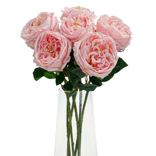 Jahe 6Pcs Fake Austin Flowers David Austin Roses...