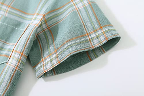 Baby Boys Dinosaur Animal Print Shirt Button Down Hawaiian Shirts Aloha Short Sleeve Party Holiday Dress Shirt4