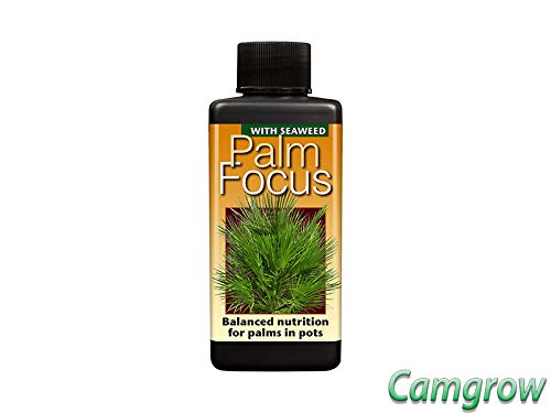 GT- Focus Range For Orchids Chillies,& More Specialist Plants Fruits & Trees (Palm Focus - 100ml)
