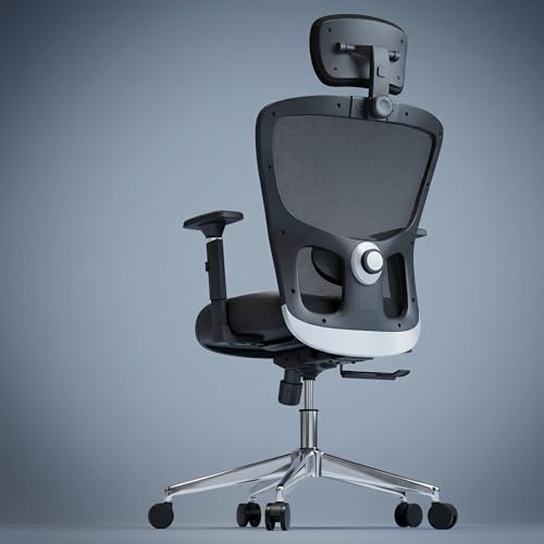 Image of Urbanova Pro Ergonomic Office Chair for Work | Multi-Lock Mechanism | 4 Year Warranty | 3D Armrest | Adjustable Lumbar (3D with 3 Position Lock)