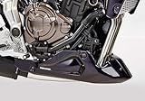 FECHTER DRIVE Motorsport GmbH
