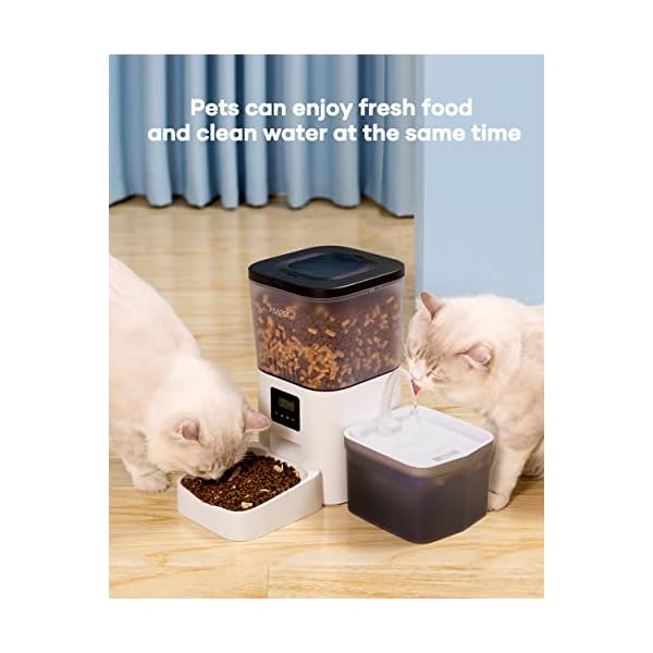 Asapet 4L Automatic Cat Feeders and 2L Cat Water Fountain, Automatic