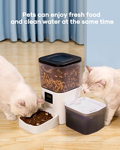Asapet 4L Automatic Cat Feeders and 2L Cat Water Fountain, Automatic Pet Feeder Automatic Dog Feeder Dog Water Dispenser… - Image 3