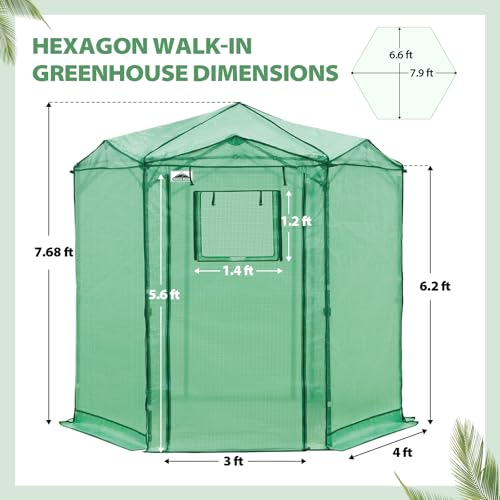 Image of EAGLE PEAK 6.6x6.6 Easy Setup Pop Up Greenhouse, Hexagon, Clear /Green