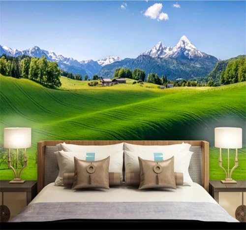 Papier peint 3D montagne enneigée intissé pose facile pour chambre - 3