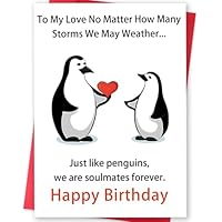 Funny Birthday Cards Gifts for Husband Wife Boyfriend Girlfriend, Happy Birthday Card for Him Her Men Women, Cute Penguins Couples Greeting Card Gifts