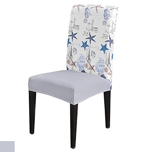 Juego de 6 fundas para sillas de comedor, diseño de concha de mar, color azul marino, estrella de mar, coral, caballo, vintage, lavables, marinas, para comedor, hogar, hotel, ceremonia, banquete Cover