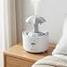 Imagen de Humidificador Lluvia 300ML