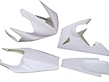 Rennverkleidung Yamaha R1 02-03 RN09 GFK mit Höcker