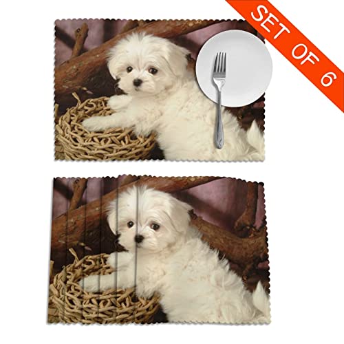 Sets de table cuisine maison tapis de table résistant chaleur antidérapant x6