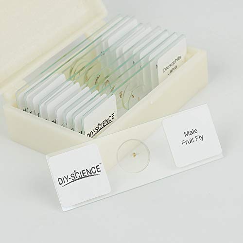 Image of Prepared Whole Insects Microscope Slides Set, 10pcs Specimens for Kids Students Biology Class, Educational Gift (Whole Insects)
