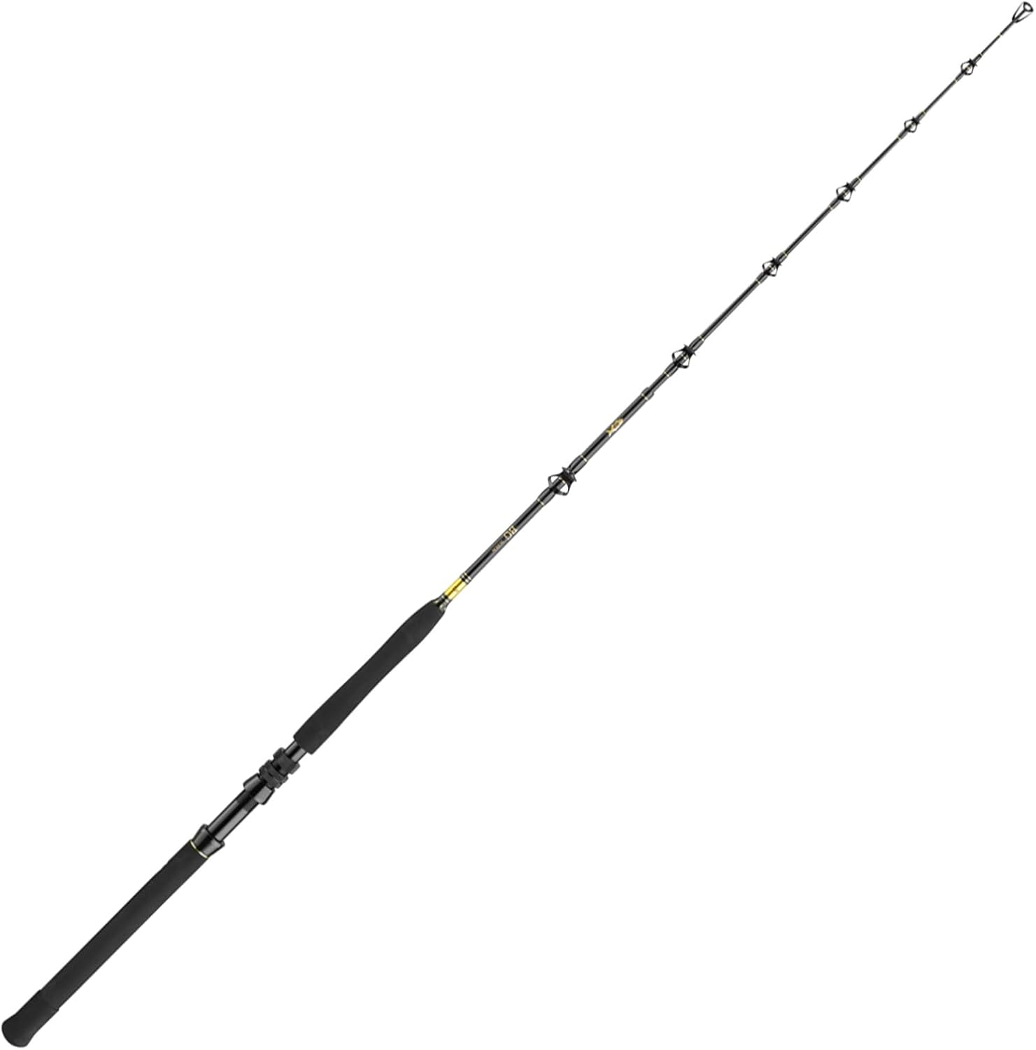 DAIWA BG Big Game, 1.68m, 5.50 Ft, 3 Parts, Progressive Action, Big Game Saltwater Fishing Rod