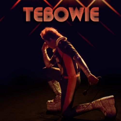 Tebowie / Reading Rainbow [Disco de Vinil]