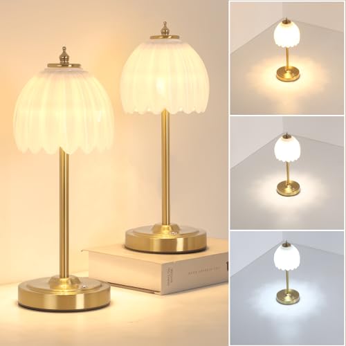 Image of Shenmoyl Set of 2 Tulip Table Lamp with 5000mAh Battery & Touch Control, Cordless Table Lamp with 3 Colors, Dimmable Rechargeable Table Lamps for Bedroom, Living Room, Entryways (White Tulip)