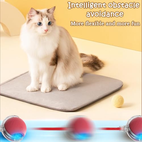 Image of Pet Cat Toys for Persian Cats - Interactive Pet Toys for Cats & Kittens | Soft, Fun & Safe Toys for Indoor Cats | Great for Play & Exercise