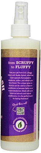 Buddy Biscuits Splash Dog Deodorizer & Conditioner, Easy Spray On With Botanical Extracts, Lavender & Mint 16 Oz (15402) #TOP2