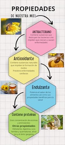 Miniatura 2 de 