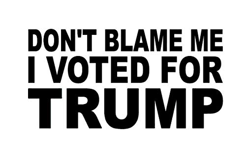 Legacy Innovations Don't Blame Me I Voted for Trump LLI | Decal Vinyl Sticker | Cars Trucks Vans Walls Laptop | Black | 7.5 x 3.9 in | LLI1777
