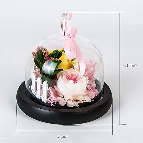 SANRAN Eternal Rose- Preserved Flower Rose Handmade Fresh Flower Rose with Beautiful Creative Heart Design Gift for Valentine's Day Mother's Day Christmas Anniversary Birthday Thanksgiving