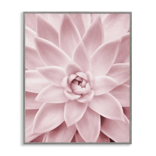 'Pastel Pink Succulent'| Framed Giclee Art