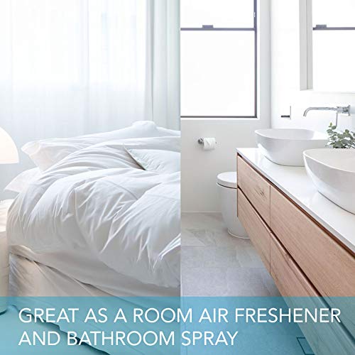 Diva Stuff Travelers Mist – Promotes Clear Skin & Protects From Acne-Causing Funk, Cleans Pillows, Hands, And Sheets – Aromatherapy Spray For Relaxation And Sleep, Made In Usa (Vanilla King, 4 Oz) #TOP3