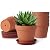 KOAMLY 6Pcs 5incn Plant Nursery pots, Mini Planter with Drain, Succulent Seedling Planter, use with Indoor, windowsill, Terra Cotta red Flower pots Wedding Decoration Best Gift for Aunts (5)