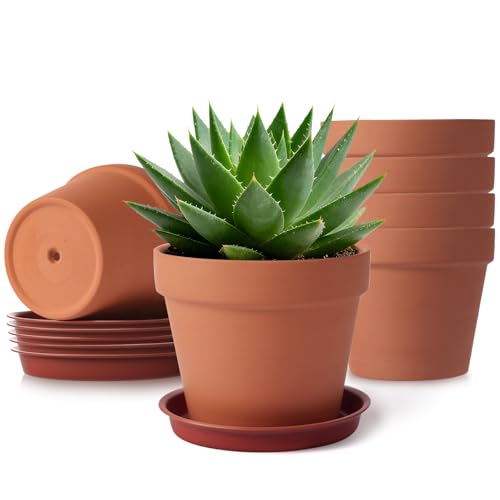KOAMLY 6 PCS Clay pots and Plates, 5-inch red Clay