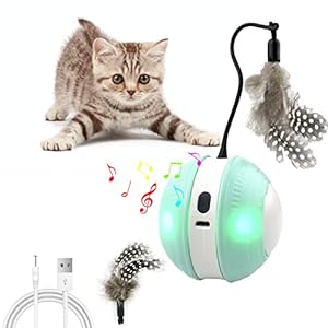 Interactive Cat Ball Toy with Bird Sound, Feather and Led Light, Active 360°Rolling Ball for Dogs, Automatic Cat Wand Toy, USB Rechargeable, Sound and Motion Activated Cat Enrichment Toys