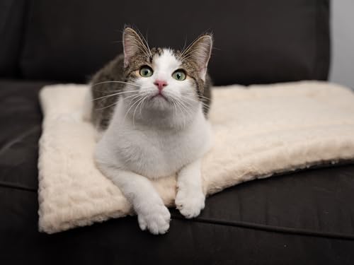 TrendPet Hundedecke Heaven gefütterte Liegedecke, Wendedecke für Hunde und Katzen, Beige