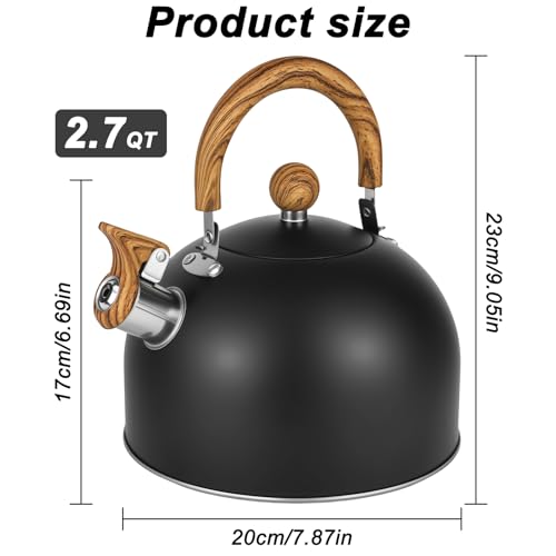 Bouilloire en acier inoxydable de qualité alimentaire supérieure 2,7L - 6