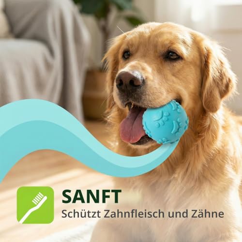 BRRDAQU 3 Stück Hundespielzeug Ball Unzerstörbarer Hundeball 6 cm Quietschball aus TPR Hund Kauspielzeug Schwimmfähig für Pool Training für Mittelgroße Und Kleine Hunde(Blau Rosa Grün)
