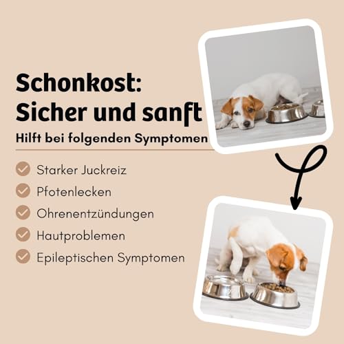 BugBell 900g Premium Trockenfutter Schonkost, Nur fünf Komponenten, Hypoallergen, für Allergikerhunde, Insekten Hundefutter
