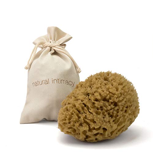 BodyCare Esponja de mar: 1 esponja grande de nido de abeja para baño y exfoliación suave 