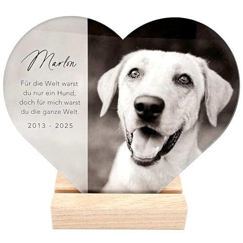 DEL MÀ Unique & Personal Andenken an verstorbenen Hund Bild Gedenktafel aus Acrylglas zur Erinnerung & Trauer personalisiert Glasherz mit Foto Geschenk für Hundebesitzer inkl. Holzfuß 20x22 cm (Herz)