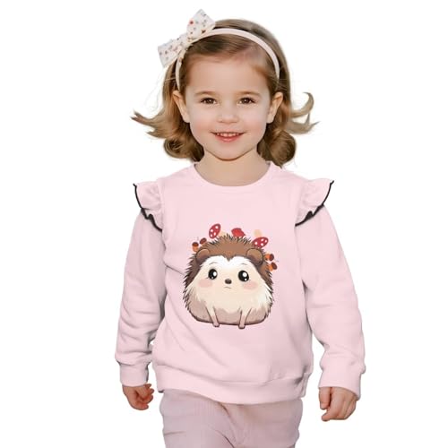 Toddler Sweatshirt Kids Clothes Girls Sweatshirts Long Sleeve Shirts Ruffle Outfits for Outdoor