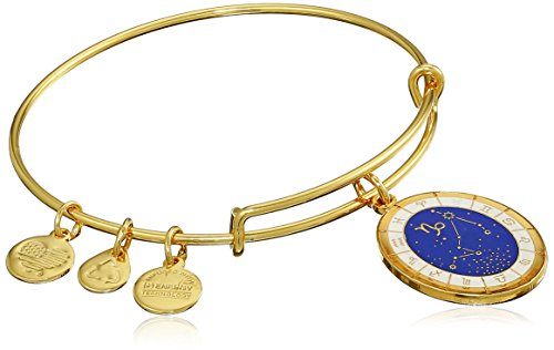 Alex and Ani Capricorn Constellation Expandable Gold-Tone Bangle Bracelet