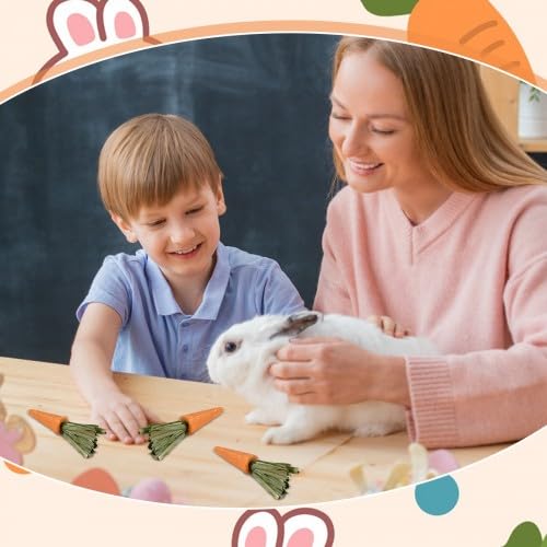 Crocchette da masticare per conigli - Biscotti all'erba alfalfa e carota per piccoli animali domestici - Snack di fieno di fleolo per conigli, porcellini d'India e criceti - Giocattoli da mas