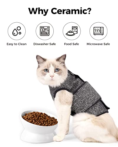 Image of LoeJan Elevated Cat Food Bowl, 5 Oz Ceramic Raised and Tilted Water Bowl, Anti Vomiting and Protect Pets' Spines Dishes for Small Dog, Fat Faced Cat, Kitten (White, 1 Pack)