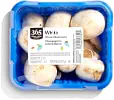 洋書 Mushrooms 71wUVrj-49L._UF350,350_QL50_.jpg